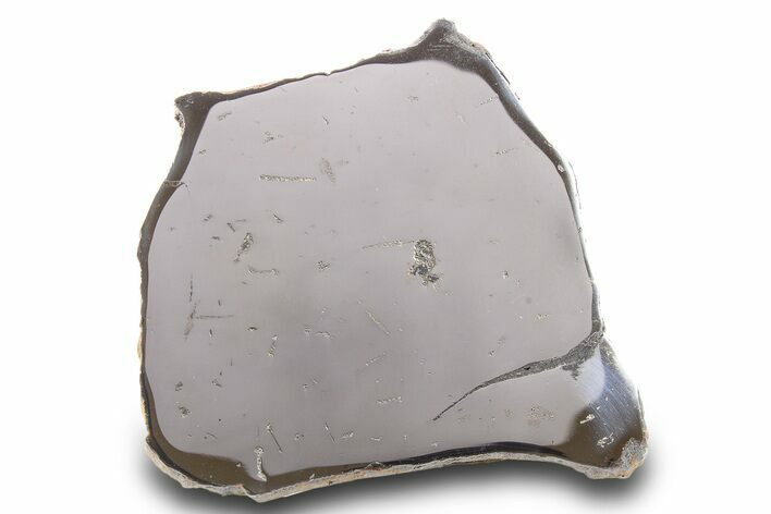 Gebel Kamil Iron Meteorite Slice ( g) - Egypt #284529